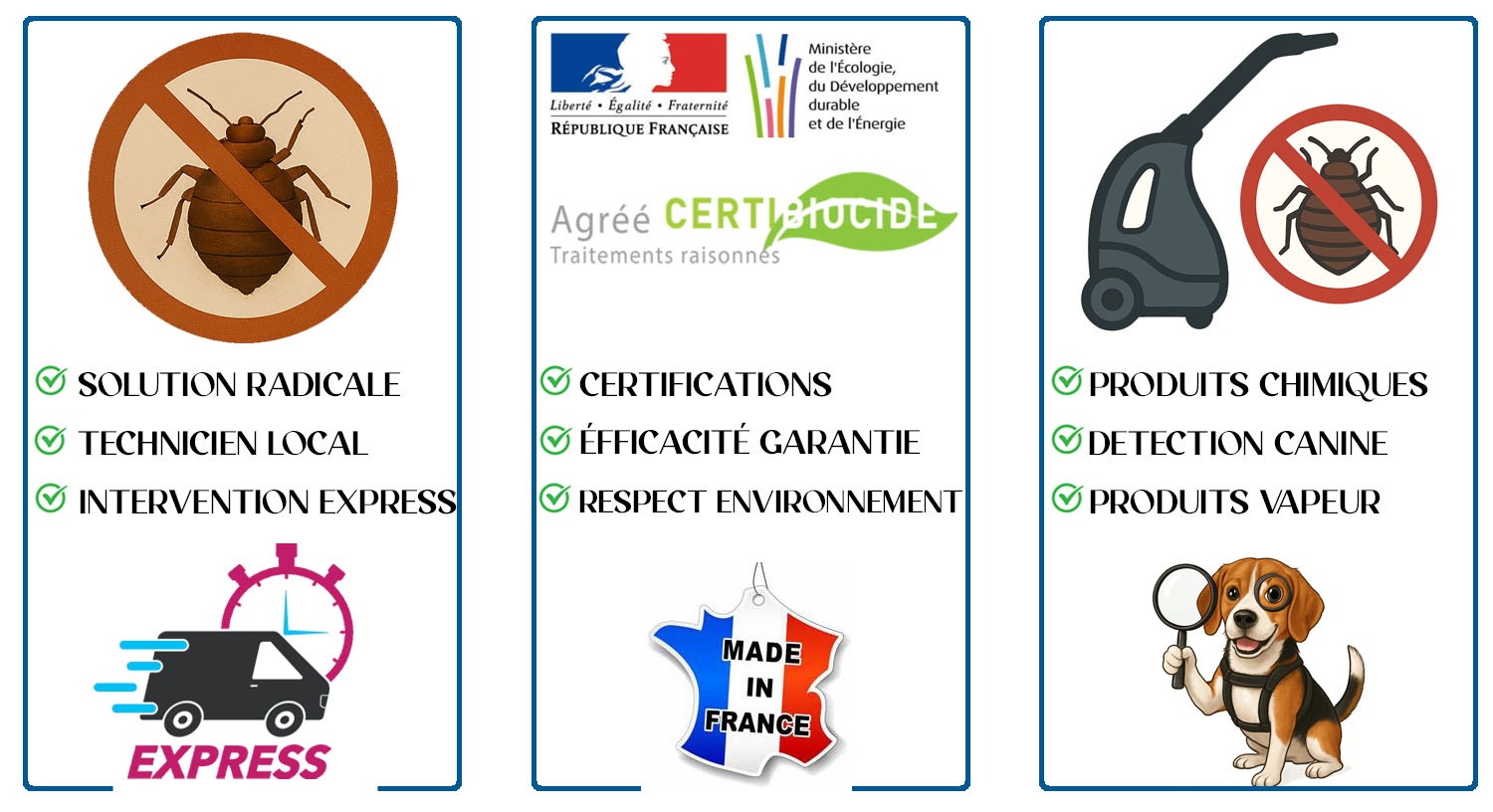 Punaises de Lit Clichy